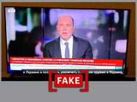 No, France 24 did not report that Kyiv planned to 'assassinate' French President