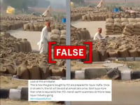 No, this video does not show Punjab farmer watering grain sacks to ‘aid liquor mafia’
