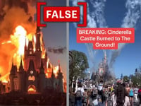 No, Cinderella Castle at Disney World in Florida did not burn down
