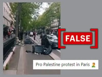 No, this viral video does not depict pro-Palestinian protests in Paris
