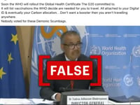 No, the WHO will not use a digital health certificate to list which vaccines are required for international travel