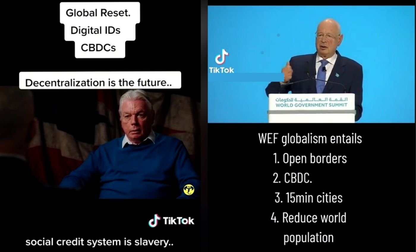 Two screenshots of tiktok videos. The first has a picture of David Icke looking sweaty, and the text reads: "Global reset. Digital IDs. CDBDs. Centralization is the future. Social credit system is slavery." The second is of WEF head Klaus Schwab giving a speech from a podium at the World Government Summit. The caption is commentary, and reads: "WEF Globalism entails 1. open borders, 2. CBDC, 3. 15 min cities 4. reduce world population"
