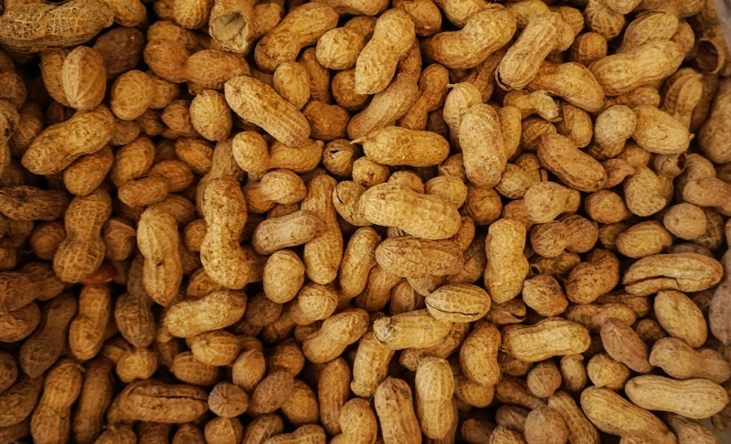 False: Peanuts are of Indian origin.