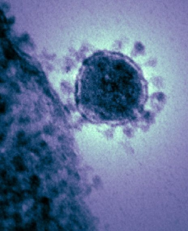 Misleading: Social media posts claim that coronavirus has already been patented in the United States.