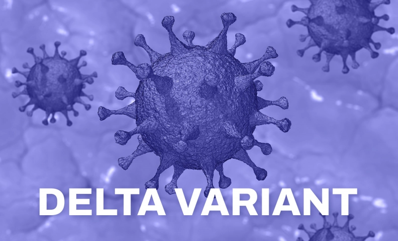 True: The Delta variant of COVID-19 is infecting fully vaccinated people.