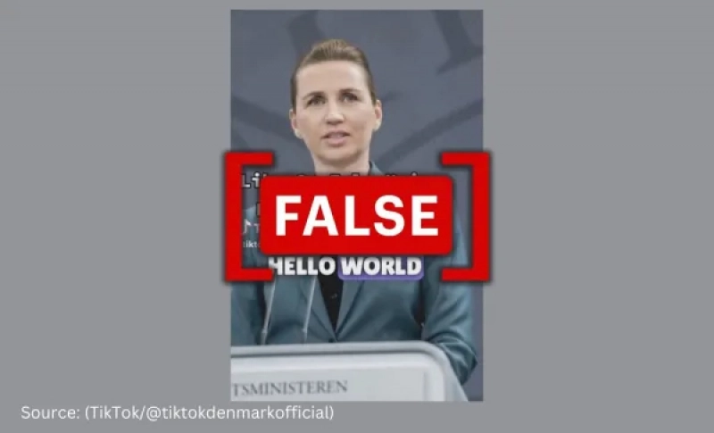 Video med Mette Frederiksens tale til verden er en deepfake