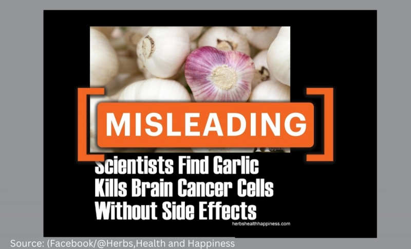 No evidence that garlic can kill brain cancer cells