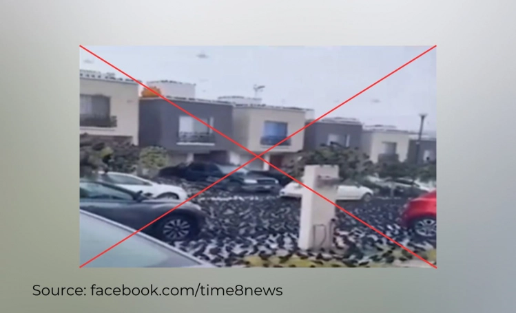 False: A video clip shows crows behaving erratically ahead of the Tajikistan earthquake.