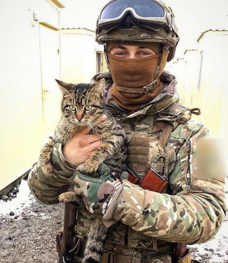 False: The Ukrainian army has trained cats to spot sniper lasers.
