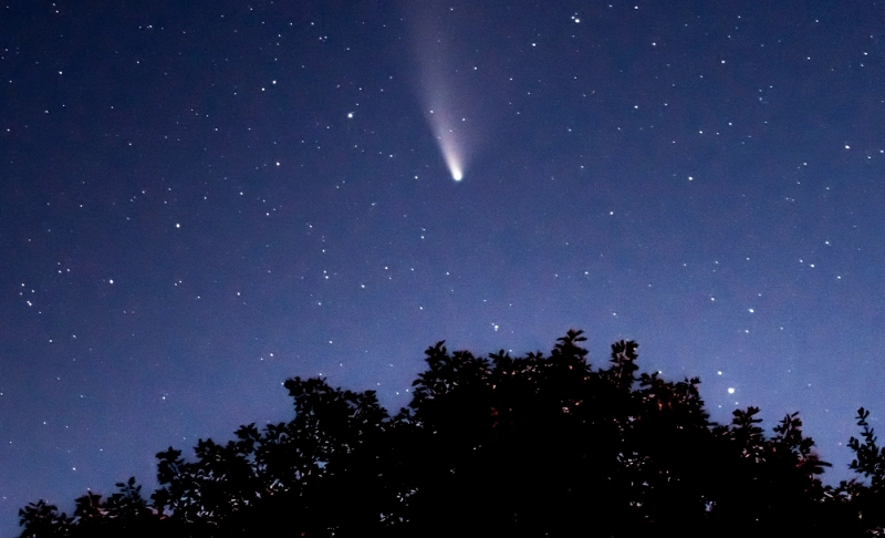 True: SpaceX Satellites ruined the perfectly good view of Comet Neowise.