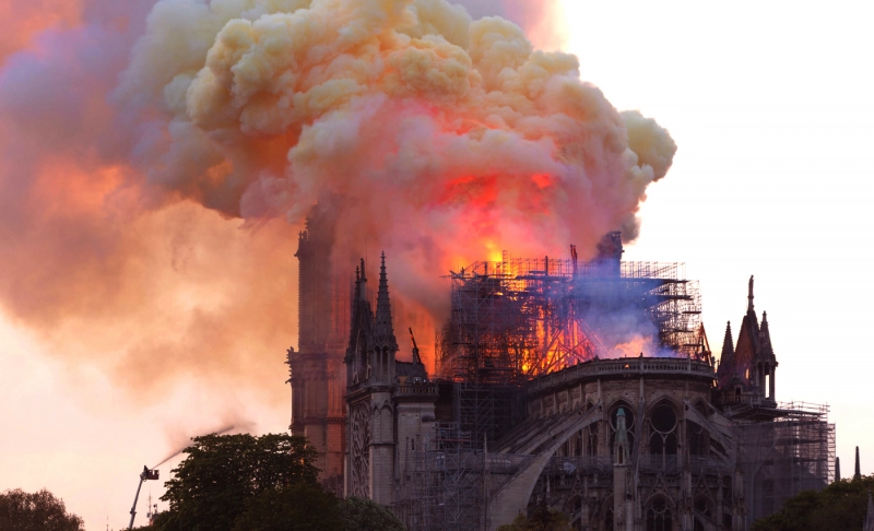 True: Toxic lead from the Notre Dame Cathedral fire was found in local honey.