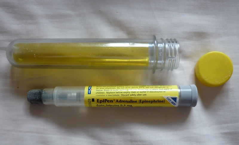 True: EpiPens cost at least 10 times more in the US than in other countries.