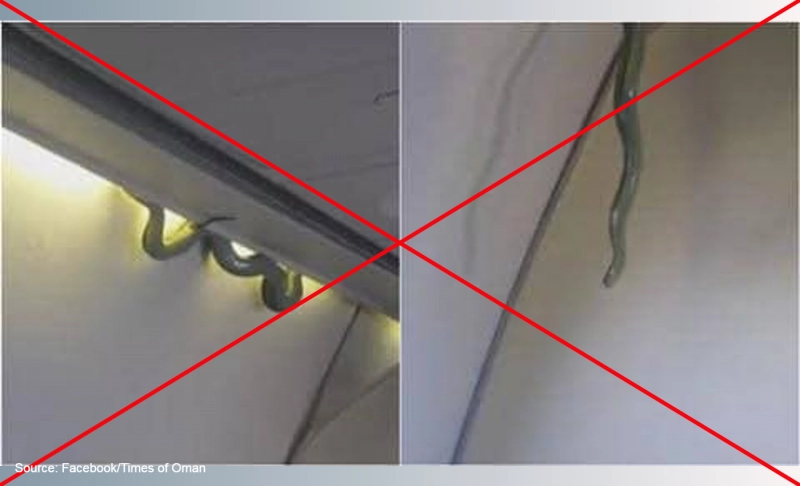 Misleading: Photos show a snake found on an Air India Express flight on December 10, 2022.