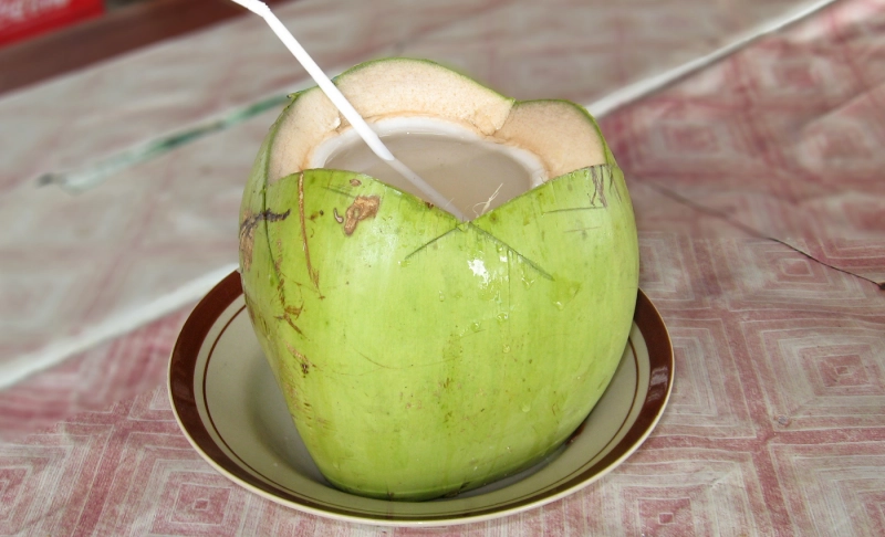 False: Cancer patients can fully recover from the disease by regularly drinking hot coconut water.