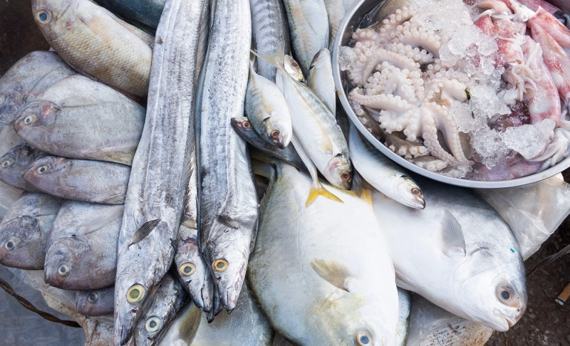 True: Andhra Pradesh has overtaken West Bengal as the largest producer of fish.