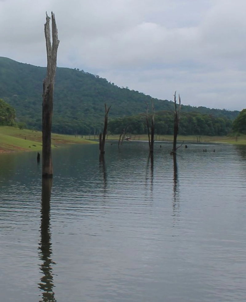 True: Toxic water was released into the Periyar river in Kerala after opening the dam shutters in April 2020.