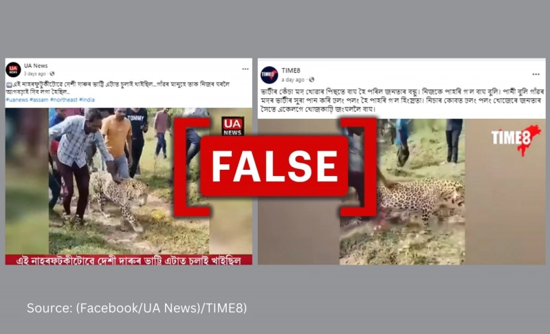 No, video doesn't show 'drunk' leopard in Assam