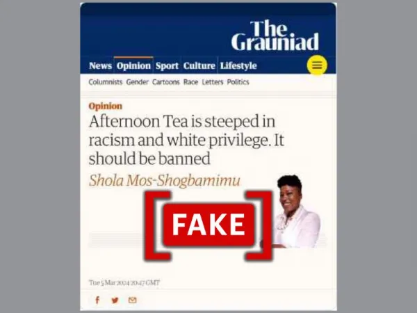 Screenshot of Guardian op-ed by activist Shola Mos-Shogbamimu on racism is fake