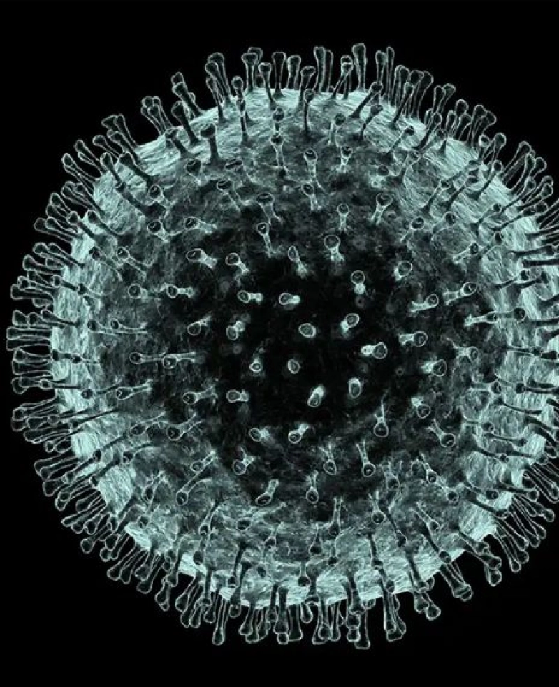 True: Infections with 2019 novel coronavirus are being reported in a growing number of international locations, including the United States.
