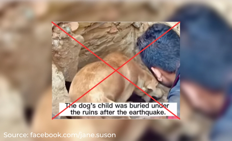 False: The video shows a man helping a dog find her puppies in the rubble after the Turkey earthquake.