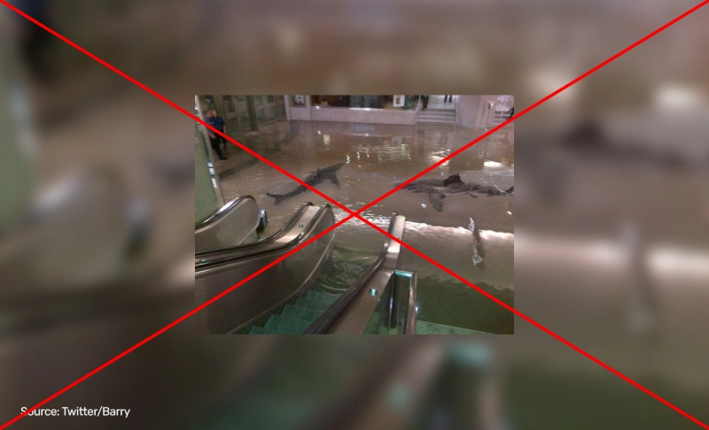 False: Sharks were swimming in a Florida mall after Hurricane Ian, image shows.