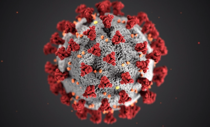 True: COVID-19 human antibody that may limit the spread of the virus has been identified.
