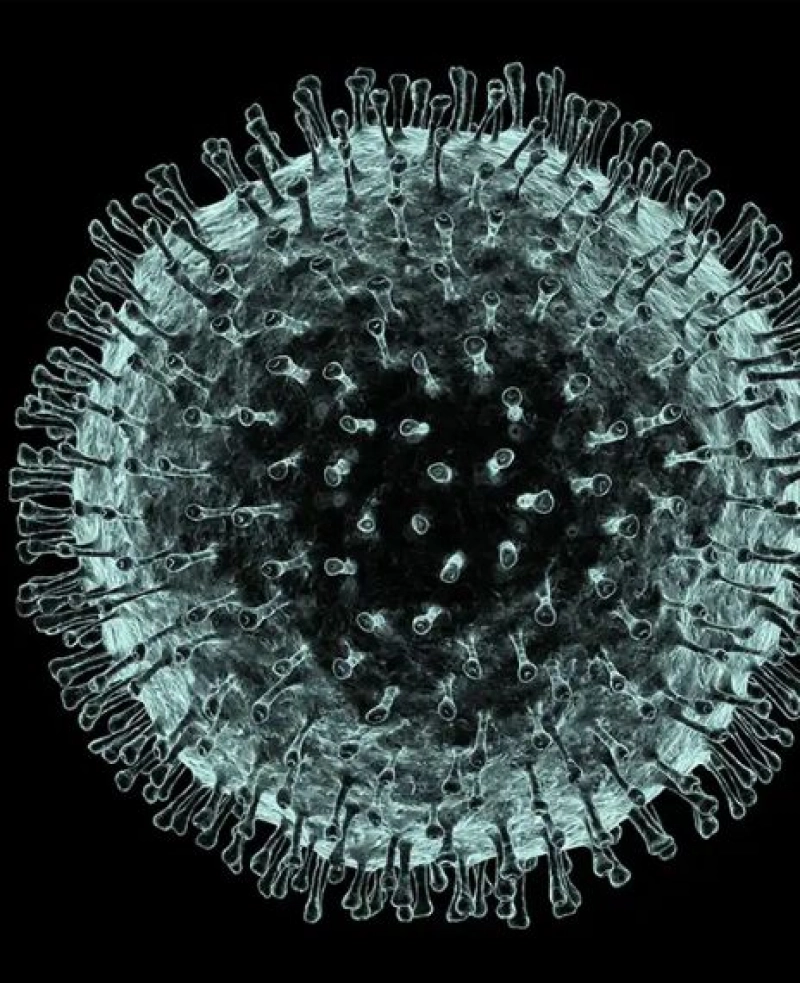 False: A novel had predicted the 2019 coronavirus 40 years ago.
