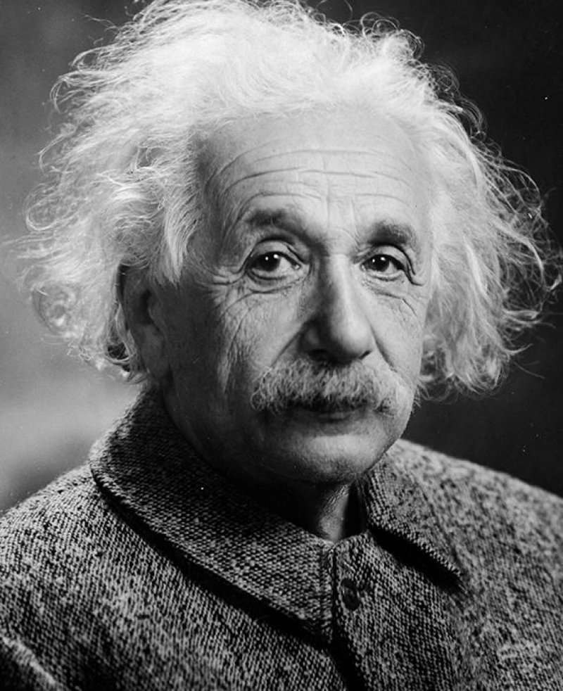 True: Albert Einstein was a genius.