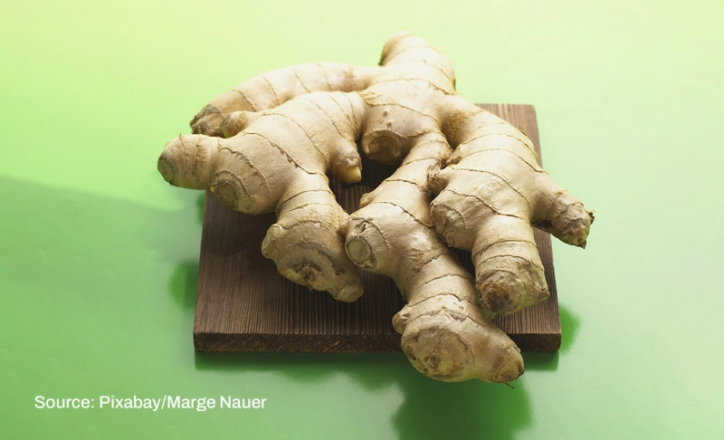 False: Ginger juice can treat lung cancer.