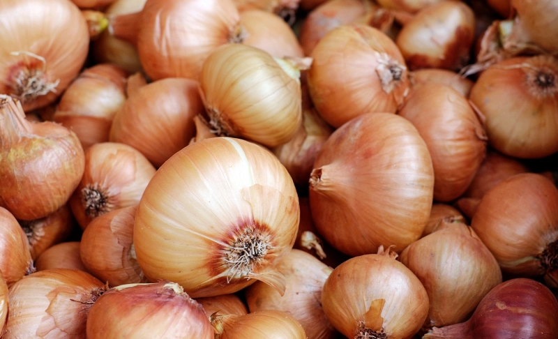 True: Onion prices double in a month while markets predict further rise.
